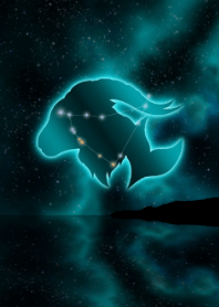 Capricorn-Mirror World 4-JPN