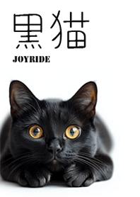 黒猫 クロネコ