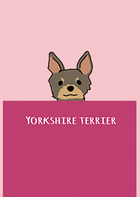 Pink : Yorkshire terrier