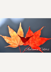 --- Autumn Colors --- 13