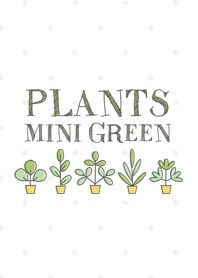 Plants mini green