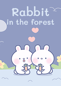 Rabbit in the forest!