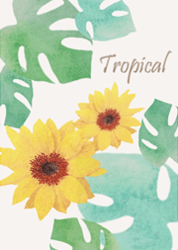 Living with Monstera3.