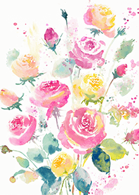 Beautiful rose flower(R4377)