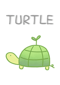 turtle w