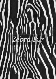 Zebra Fur 33