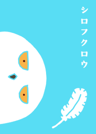 A theme of a white owl