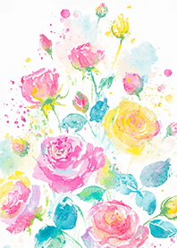 Beautiful rose flower(R4494)