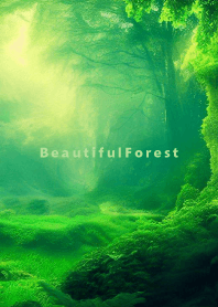 Beautiful Forest-NATURE- 14