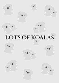 LOTS OF KOALAS-LIGHT GRAY