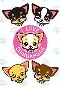 キュートなチワワンズ