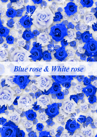 "Blue rose & White rose" theme