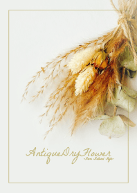 Antique dried flower 13