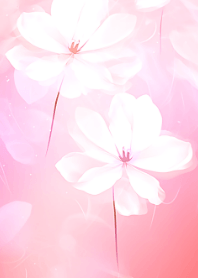 Beautiful Flower Series #6