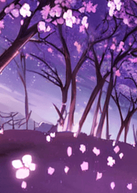 月光之夜樱花＃cn116。