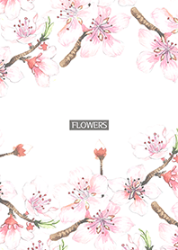 water color flowers_1081