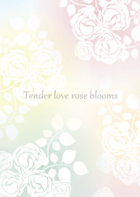 Tender love rose blooms