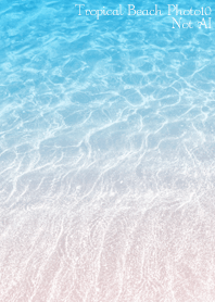 TropicalBeach Photo10 Not AI