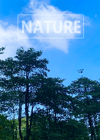 The nature18