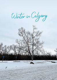 Winter in Calgary (6)