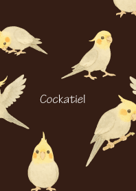 Cute Cockatiel3 brown