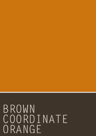 BROWN COORDINATE*ORANGE