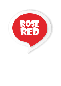 Rose Red Button In White V.3