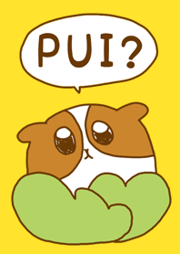 puipui