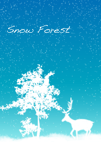 The Beautiful Snow Forest