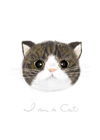 I am a cat - ねこ2