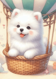Cute Samoyed fat body n.9