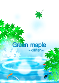 Green maple leaves with killifish