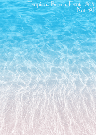 Tropical Beach Photo 295 Not AI