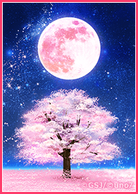 Full moon and cherry blossom theme