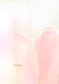 Flower Theme ver.Japan 49
