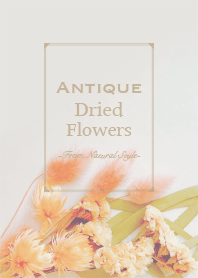 Antique dried flowers 16