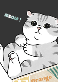 neko single15 / carbon black