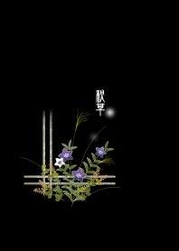 秋の夜 [秋草]