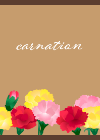 colorful carnation on brown