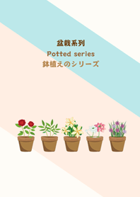 Potted series - blooming and wealthy
