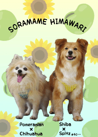 SORAMAME and HIMAWARI