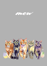 five cats on white