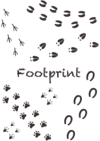 Animal footprints