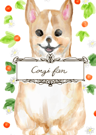 Corgi fan