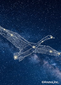 Elegant Constellation Theme