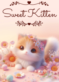 Sweet Kitten No.217