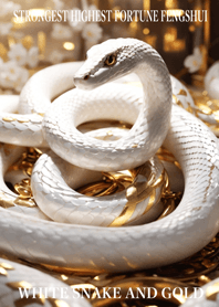 White snake and gold  Lucky 62