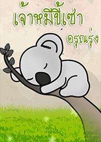 pagi Koala