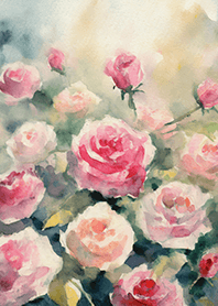 Beautiful rose flower(R4079)