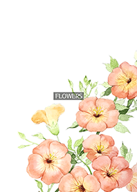 water color flowers_1024